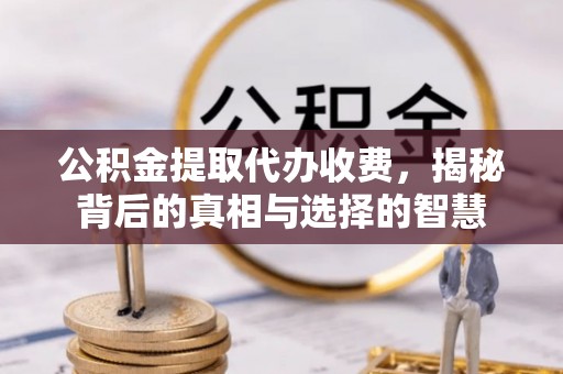 铁山港公积金提取代办收费，揭秘背后的真相与选择的智慧