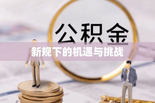 铁山港新规下的机遇与挑战