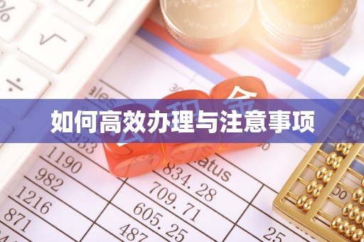 铁山港如何高效办理与注意事项
