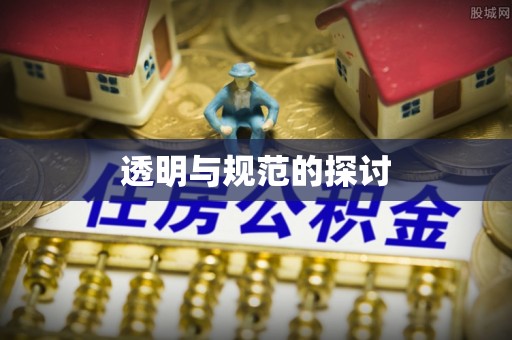 铁山港透明与规范的探讨