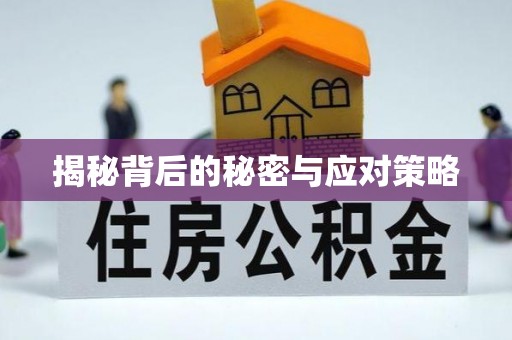 铁山港揭秘背后的秘密与应对策略