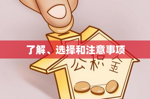 铁山港了解、选择和注意事项