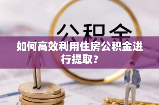 铁山港如何高效利用住房公积金进行提取？