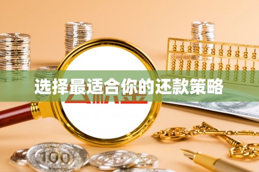铁山港选择最适合你的还款策略