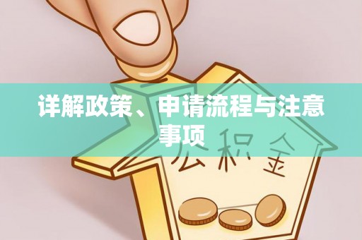 铁山港详解政策、申请流程与注意事项